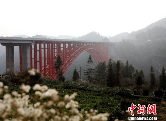 �ƶ����ʡ�(�й�)Ψһ�ٷ���վ